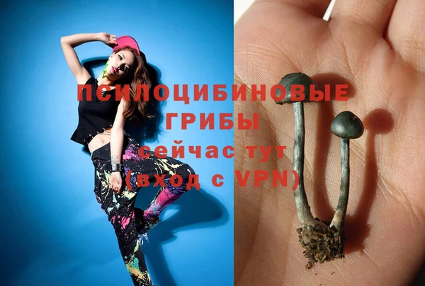 ГАЛЛЮЦИНОГЕННЫЕ ГРИБЫ Красноперекопск
