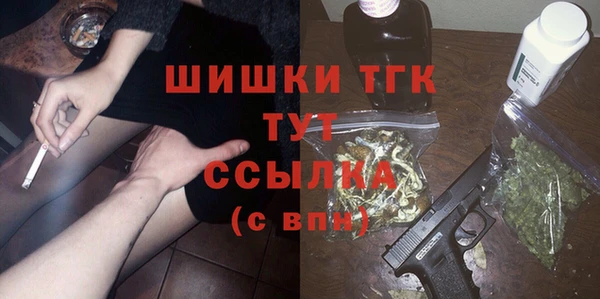 2c-b Краснослободск