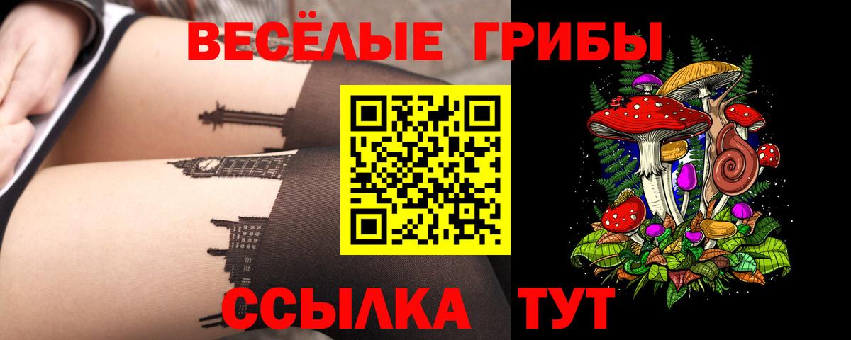 Галлюциногенные грибы мицелий Керчь