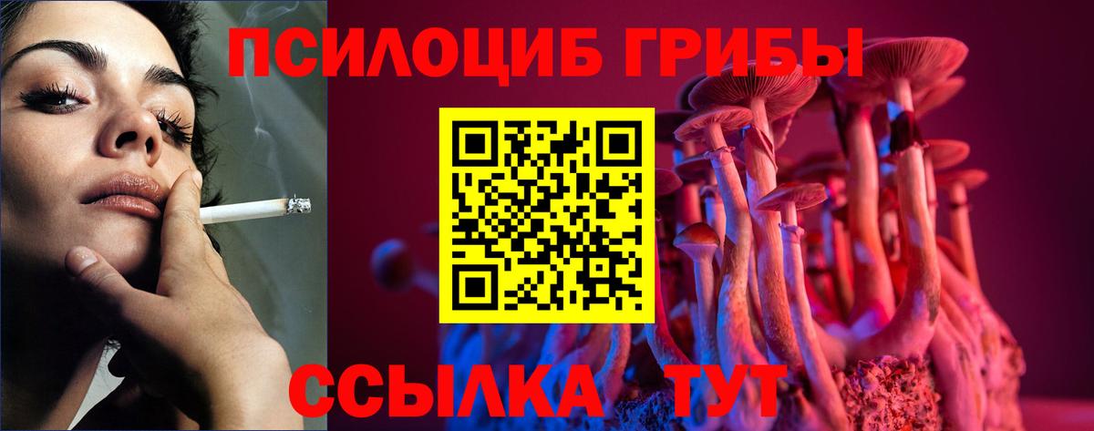 Псилоцибиновые грибы Psilocybine cubensis  Вход с VPN  Галлюциногенные грибы ЛСД  Керчь 